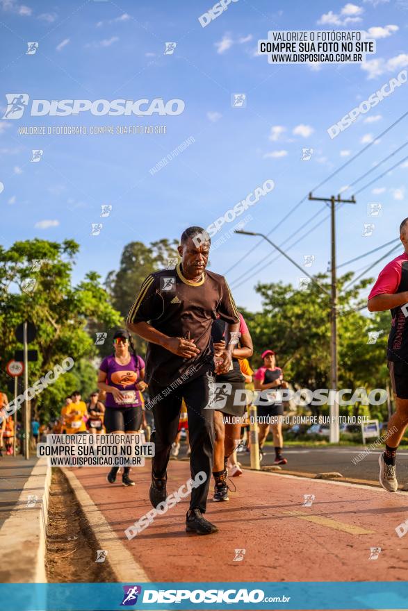 1ª Meia Maratona The Best Açaí