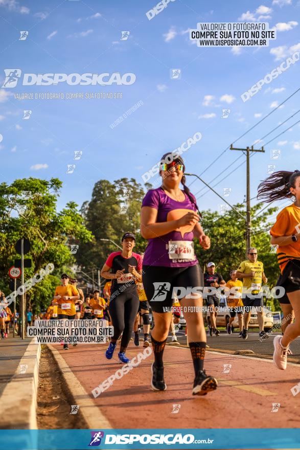 1ª Meia Maratona The Best Açaí