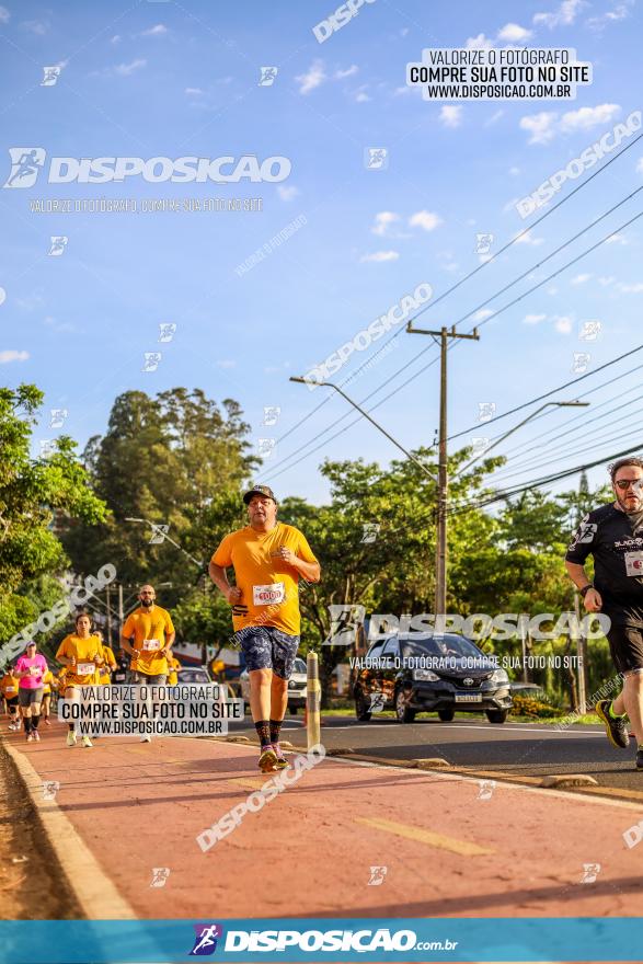 1ª Meia Maratona The Best Açaí