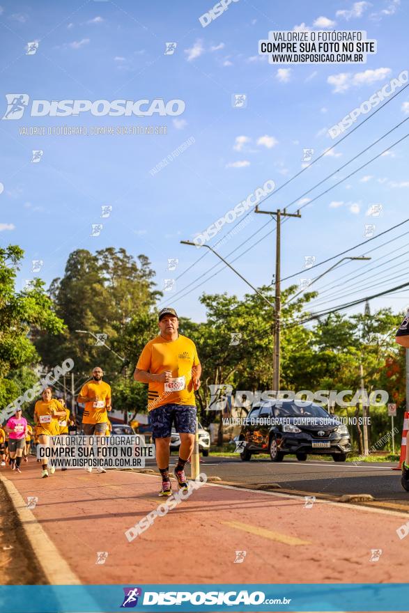 1ª Meia Maratona The Best Açaí