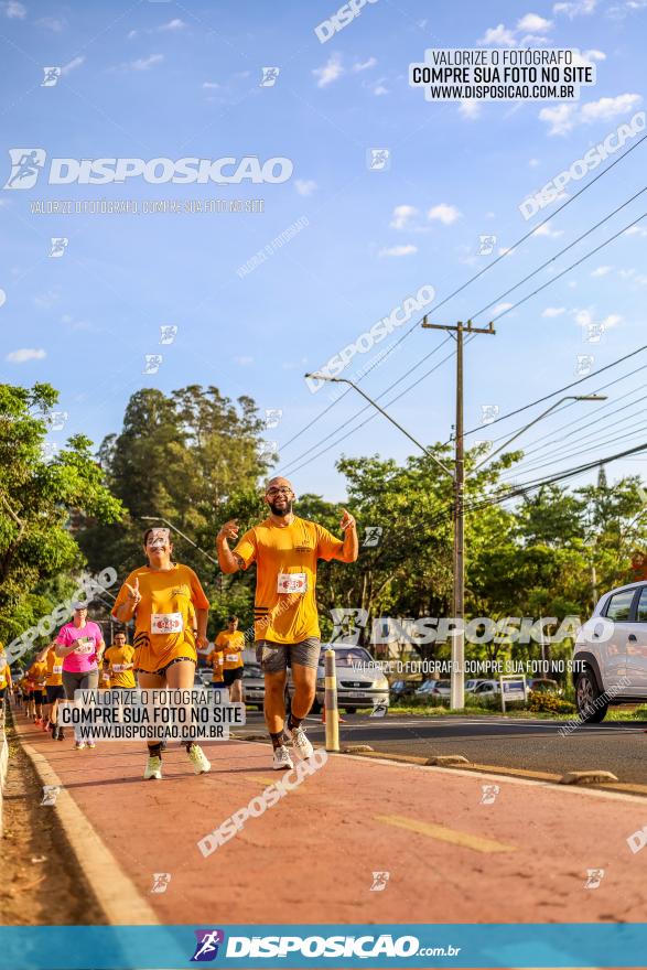 1ª Meia Maratona The Best Açaí