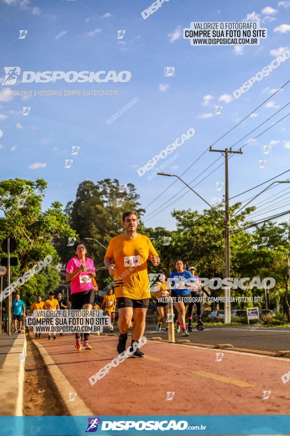 1ª Meia Maratona The Best Açaí