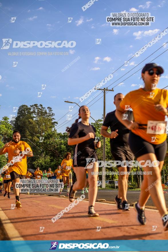 1ª Meia Maratona The Best Açaí