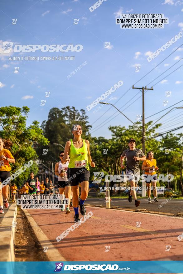 1ª Meia Maratona The Best Açaí