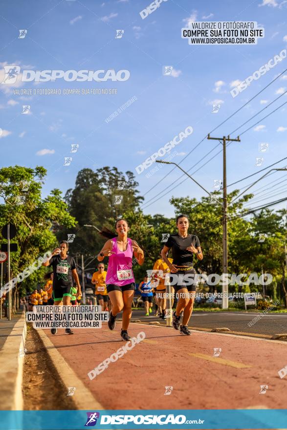 1ª Meia Maratona The Best Açaí