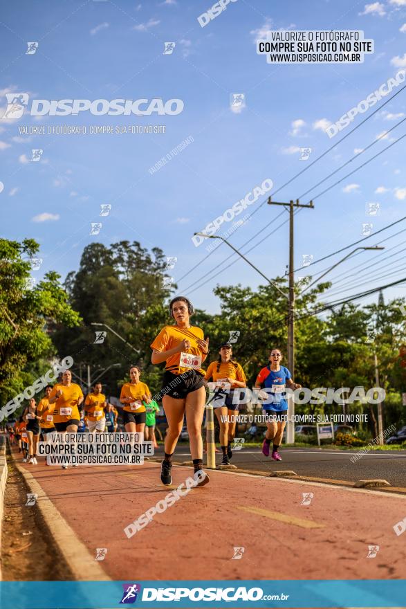 1ª Meia Maratona The Best Açaí