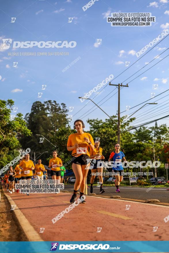 1ª Meia Maratona The Best Açaí