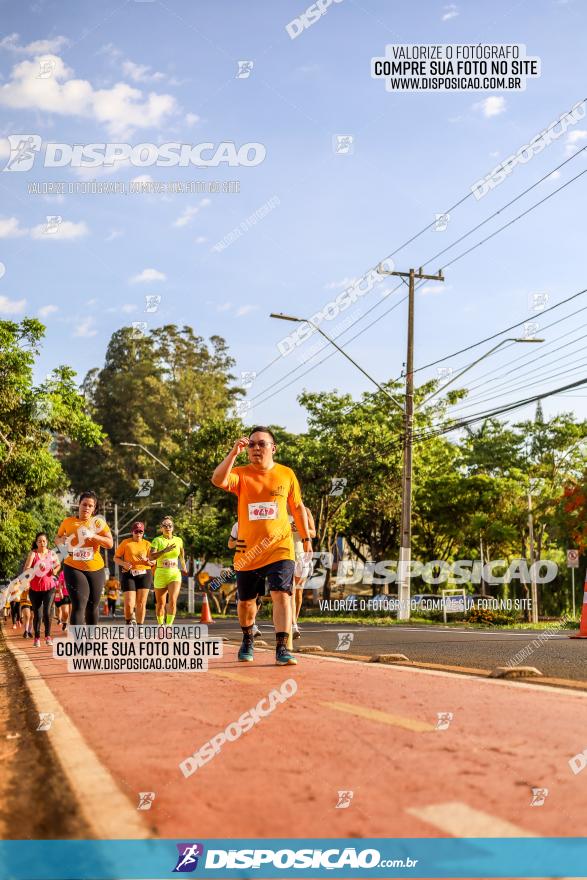 1ª Meia Maratona The Best Açaí