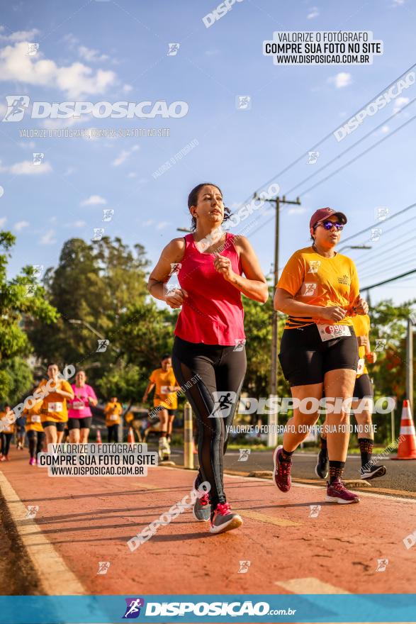 1ª Meia Maratona The Best Açaí