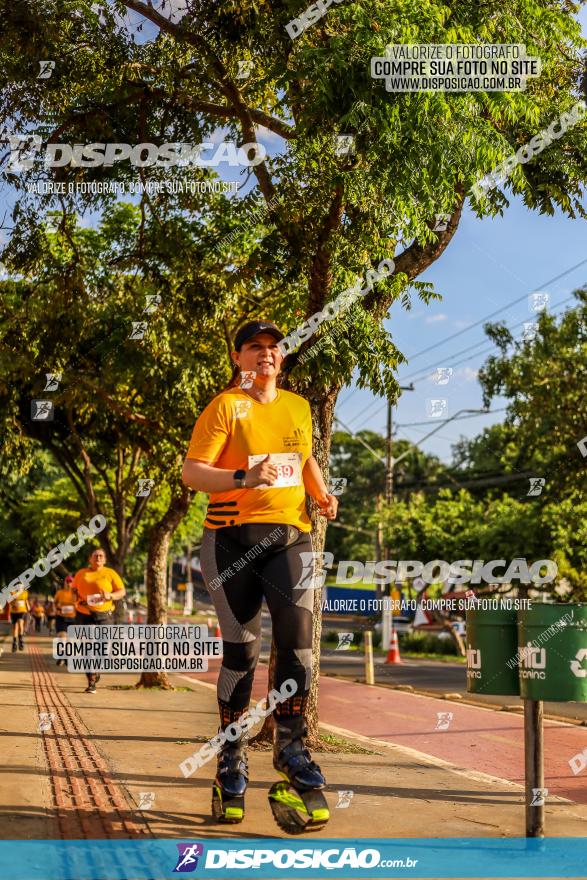 1ª Meia Maratona The Best Açaí