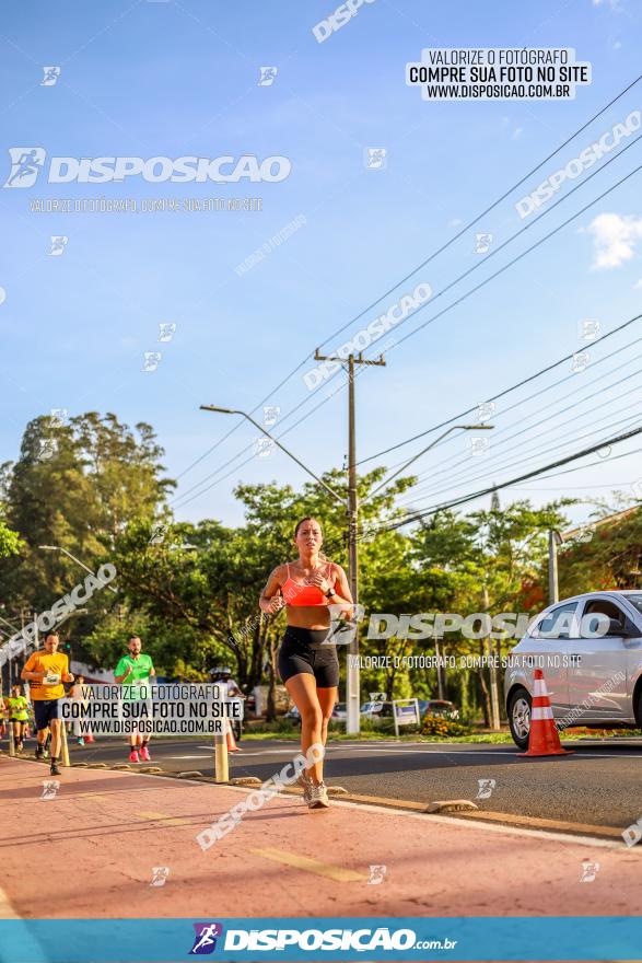 1ª Meia Maratona The Best Açaí