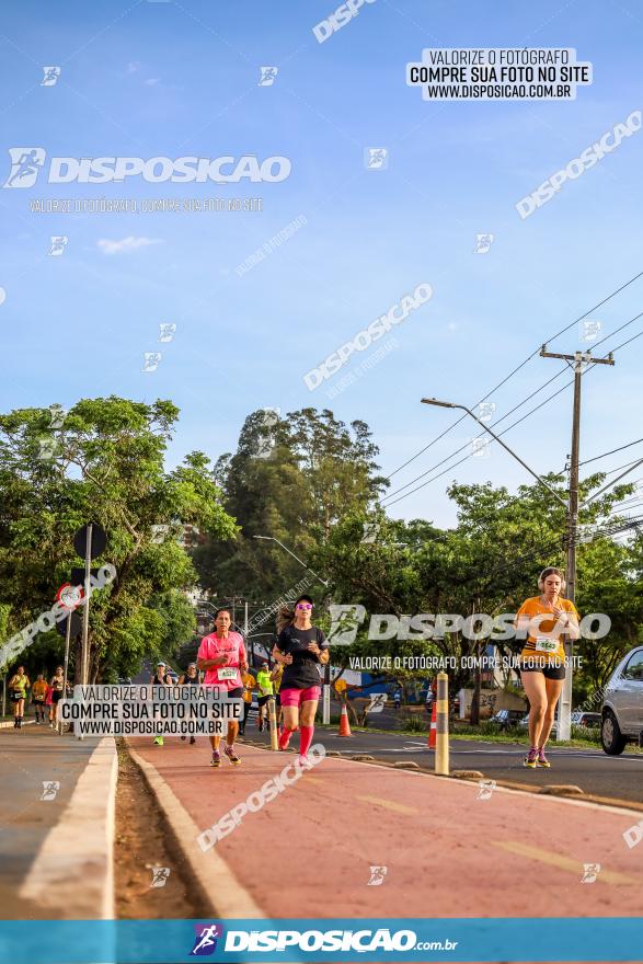 1ª Meia Maratona The Best Açaí