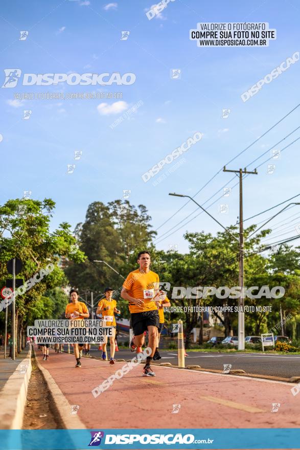 1ª Meia Maratona The Best Açaí