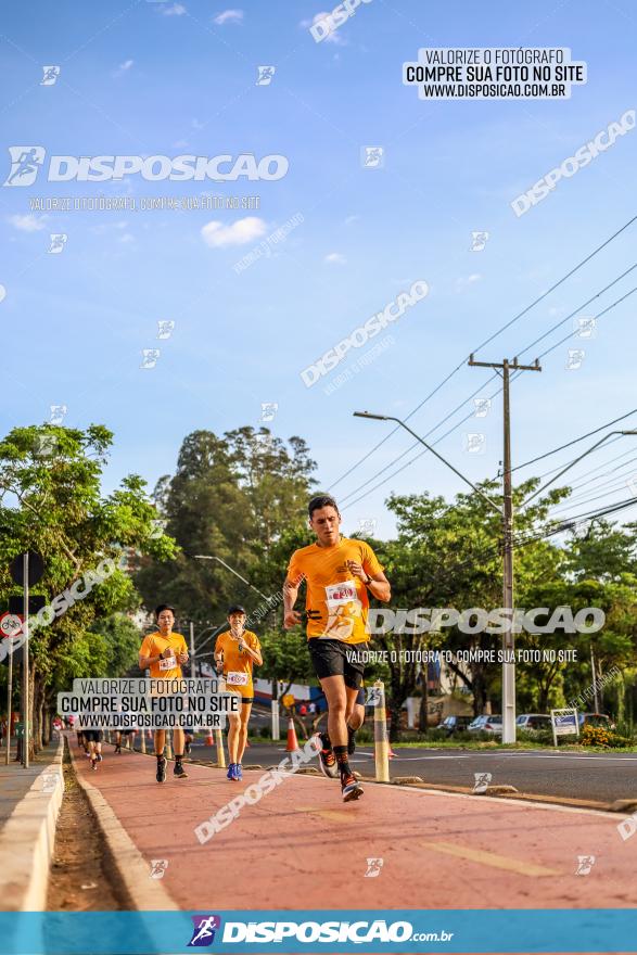 1ª Meia Maratona The Best Açaí