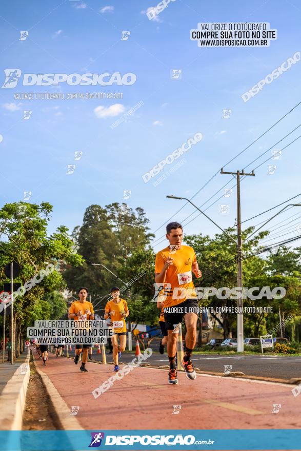 1ª Meia Maratona The Best Açaí