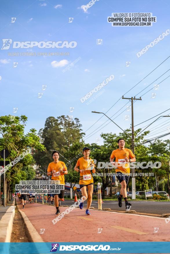 1ª Meia Maratona The Best Açaí