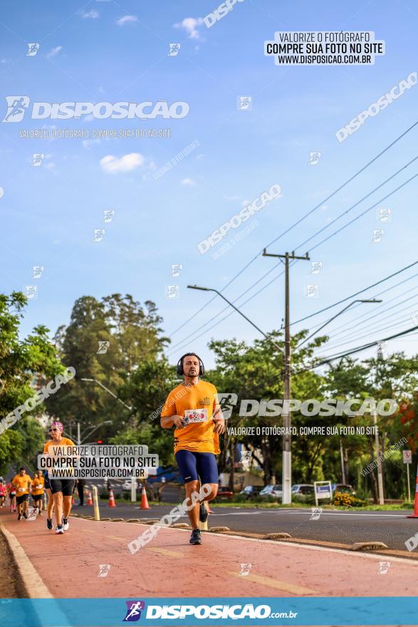 1ª Meia Maratona The Best Açaí