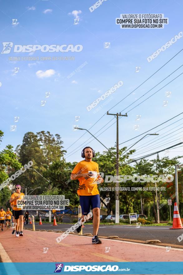 1ª Meia Maratona The Best Açaí