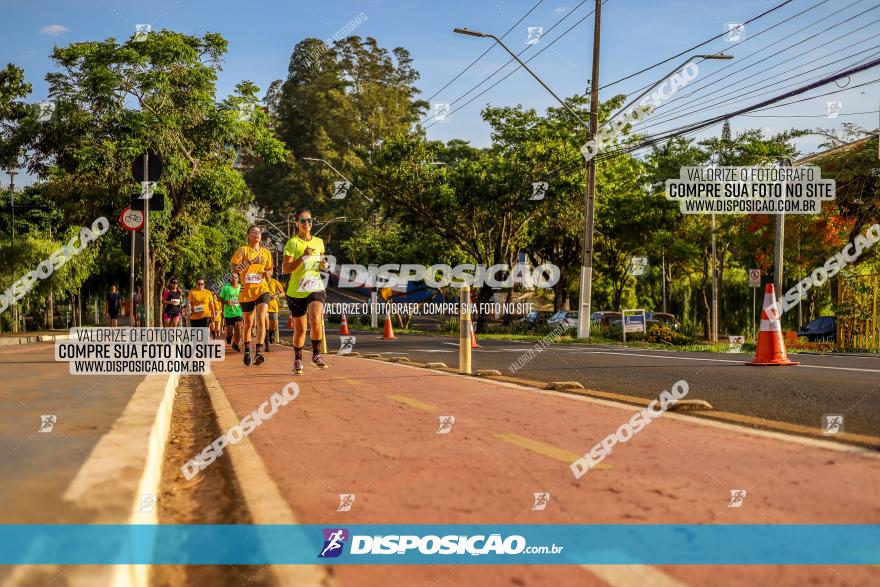 1ª Meia Maratona The Best Açaí