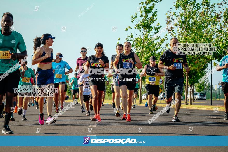 Circuito SESC de Corrida de Rua 2023 - Maringá