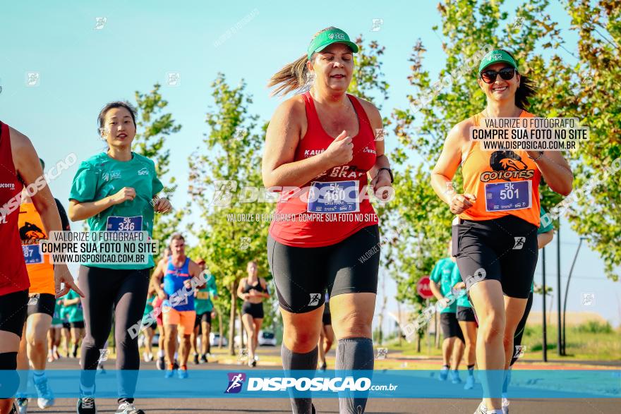 Circuito SESC de Corrida de Rua 2023 - Maringá