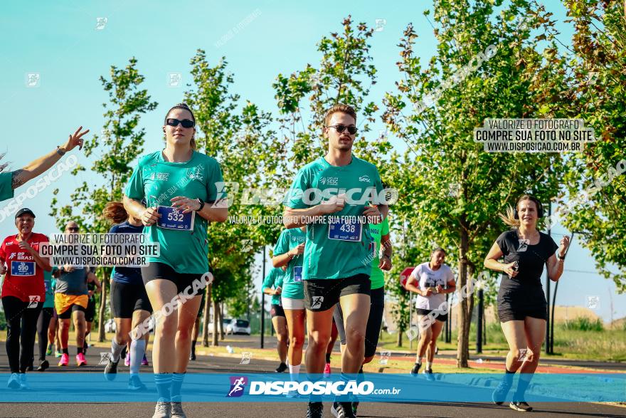 Circuito SESC de Corrida de Rua 2023 - Maringá