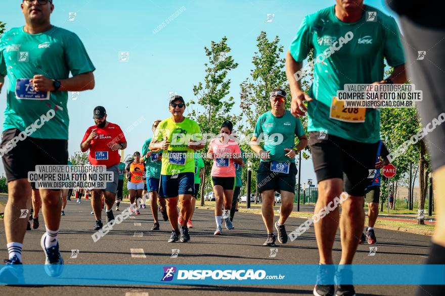 Circuito SESC de Corrida de Rua 2023 - Maringá