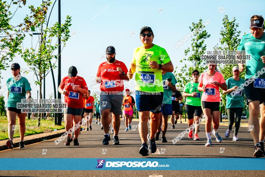 Circuito SESC de Corrida de Rua 2023 - Maringá