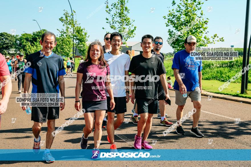 Circuito SESC de Corrida de Rua 2023 - Maringá