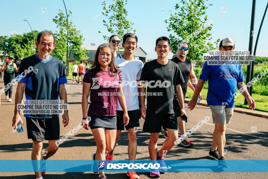 Circuito SESC de Corrida de Rua 2023 - Maringá