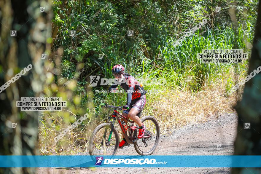 1° Circuito de Pedalada e Caminhada de Mandaguari