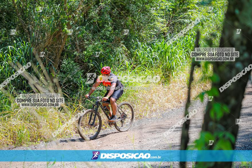 1° Circuito de Pedalada e Caminhada de Mandaguari