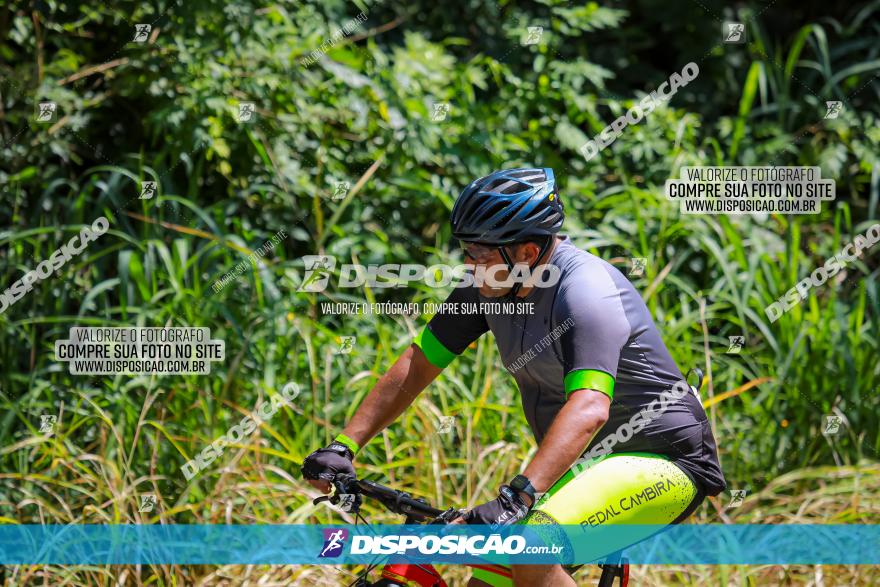 1° Circuito de Pedalada e Caminhada de Mandaguari