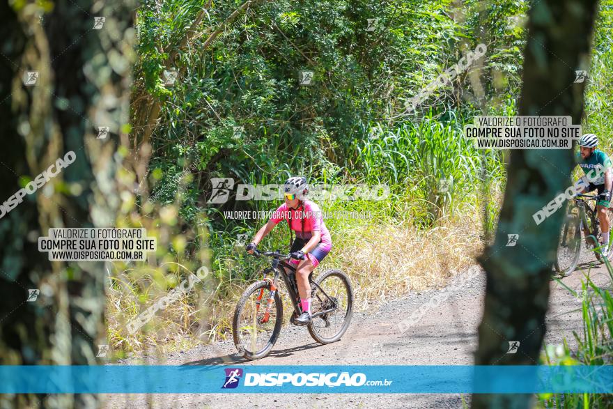 1° Circuito de Pedalada e Caminhada de Mandaguari