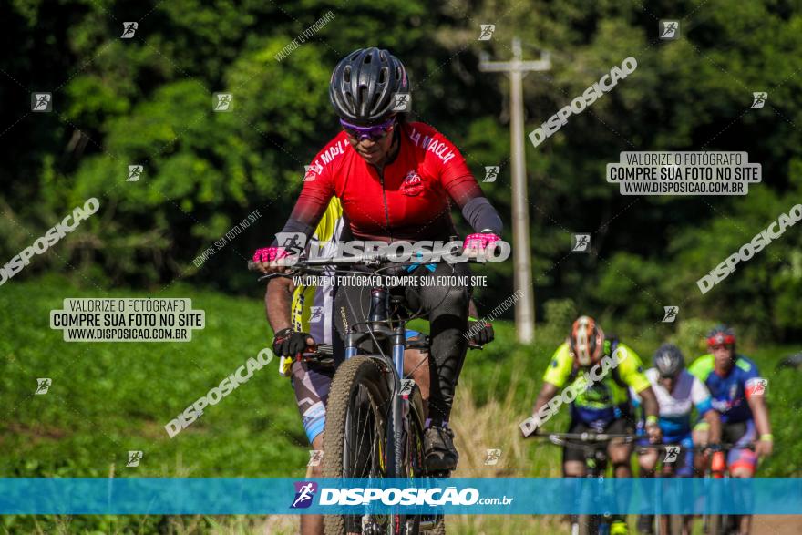 1° Circuito de Pedalada e Caminhada de Mandaguari