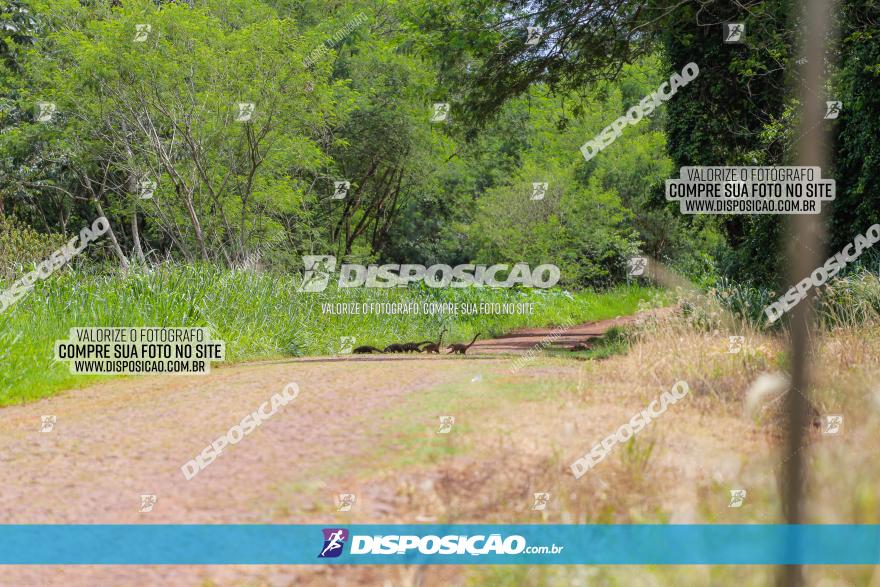 1º Pedal MTB Parceiros da APAE São Jorge do Ivaí