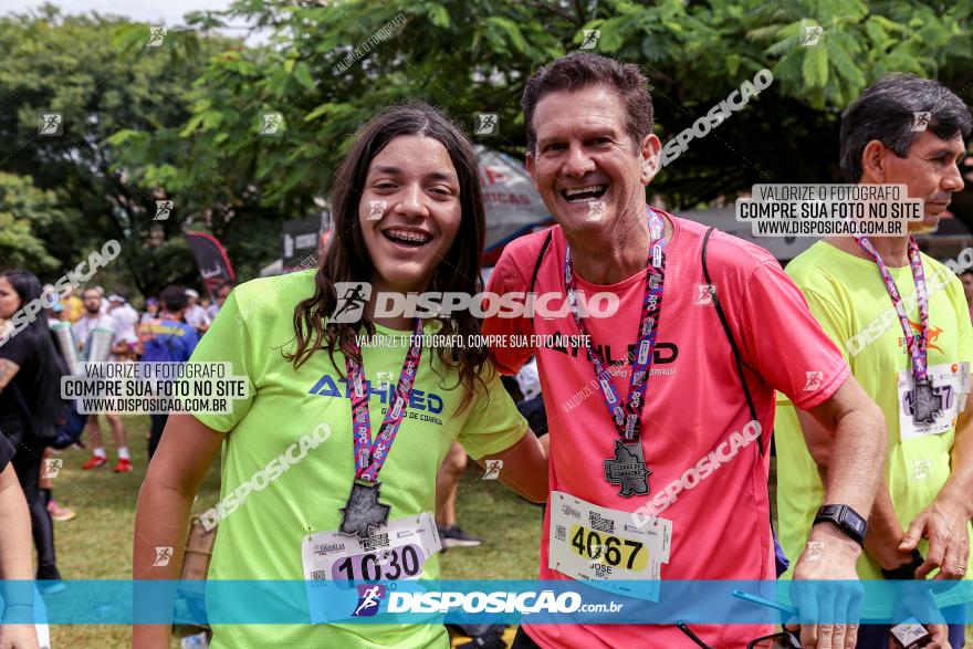 19ª Prova Pedestre Cidade de Londrina