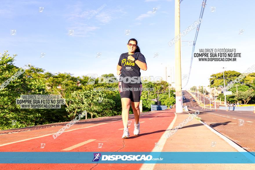 19ª Prova Pedestre Cidade de Londrina