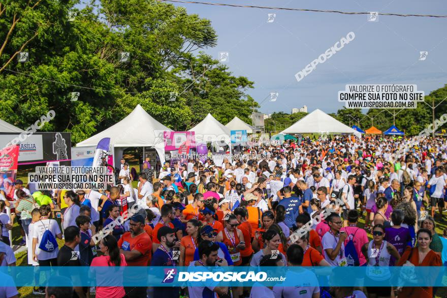 19ª Prova Pedestre Cidade de Londrina