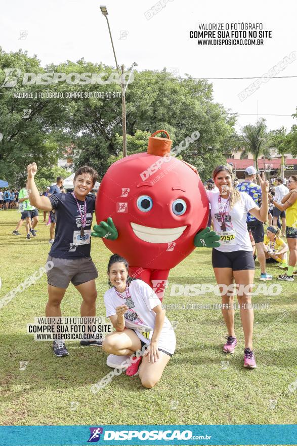 19ª Prova Pedestre Cidade de Londrina