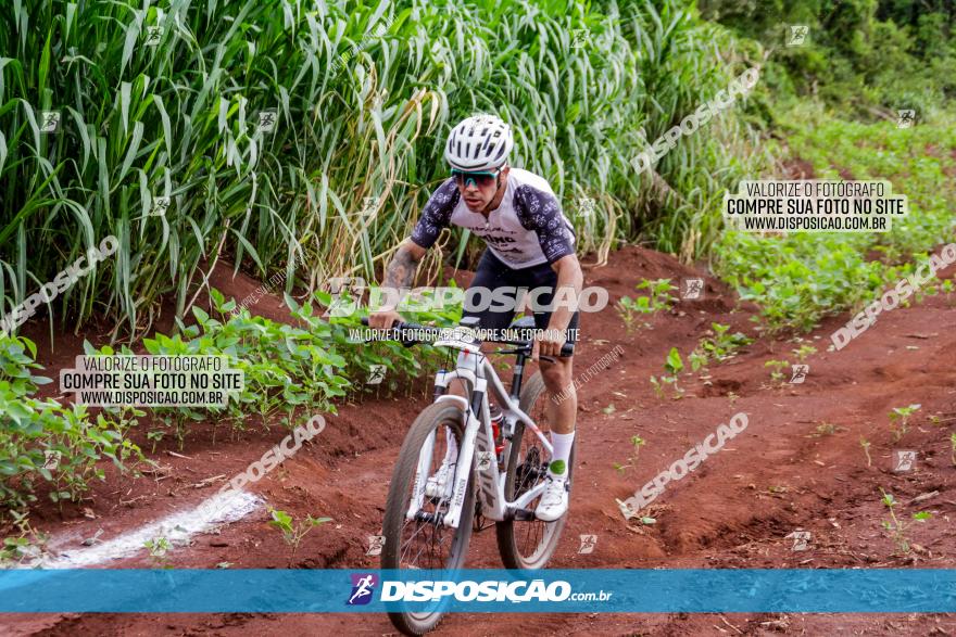 1ª EDIÇÃO DESAFIO ABELHA GRANDE - XCM