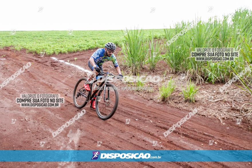 1ª EDIÇÃO DESAFIO ABELHA GRANDE - XCM