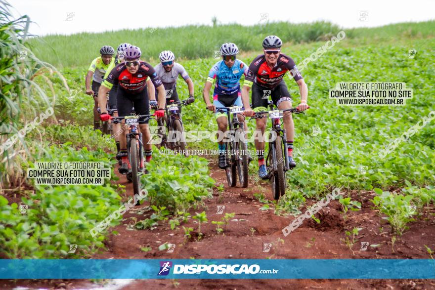 1ª EDIÇÃO DESAFIO ABELHA GRANDE - XCM