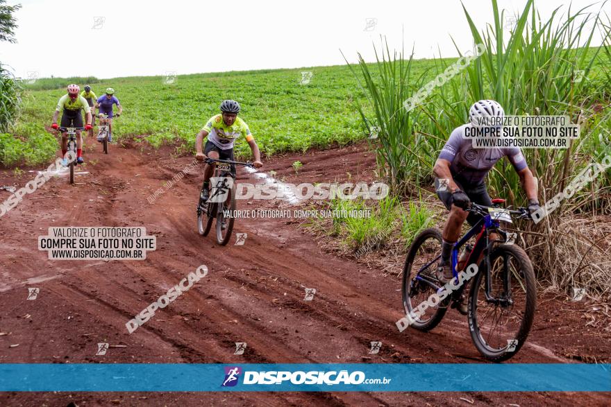 1ª EDIÇÃO DESAFIO ABELHA GRANDE - XCM