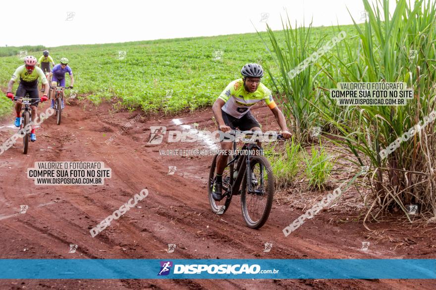 1ª EDIÇÃO DESAFIO ABELHA GRANDE - XCM