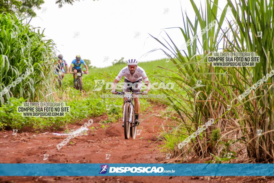 1ª EDIÇÃO DESAFIO ABELHA GRANDE - XCM