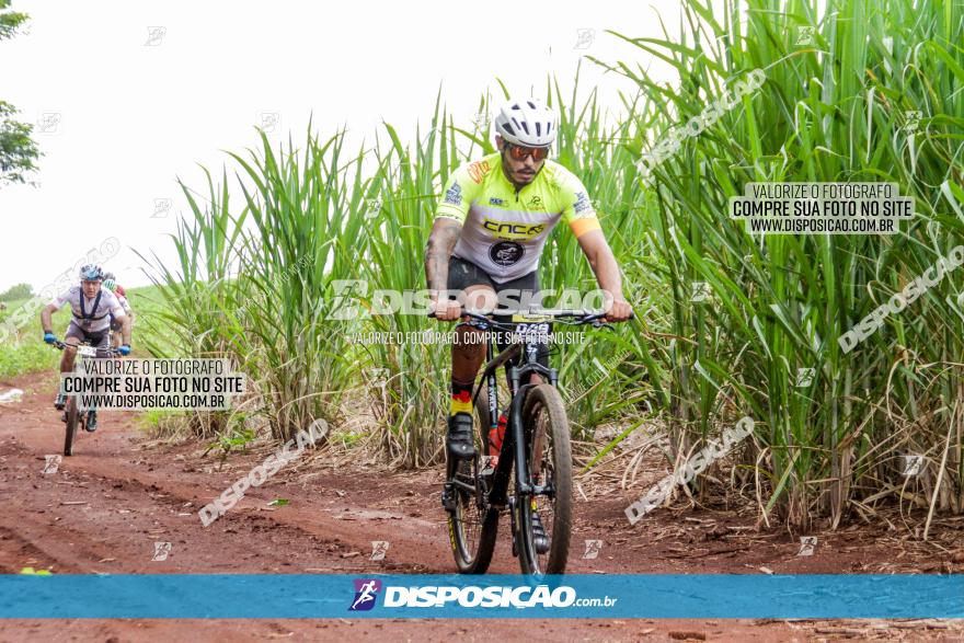 1ª EDIÇÃO DESAFIO ABELHA GRANDE - XCM