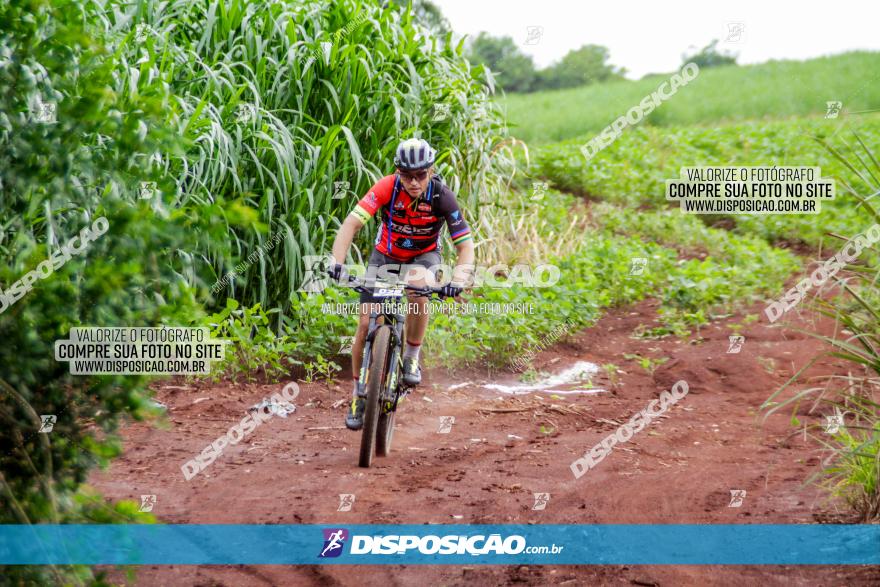 1ª EDIÇÃO DESAFIO ABELHA GRANDE - XCM