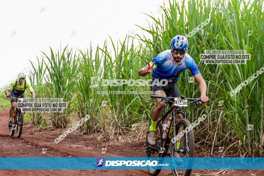 1ª EDIÇÃO DESAFIO ABELHA GRANDE - XCM