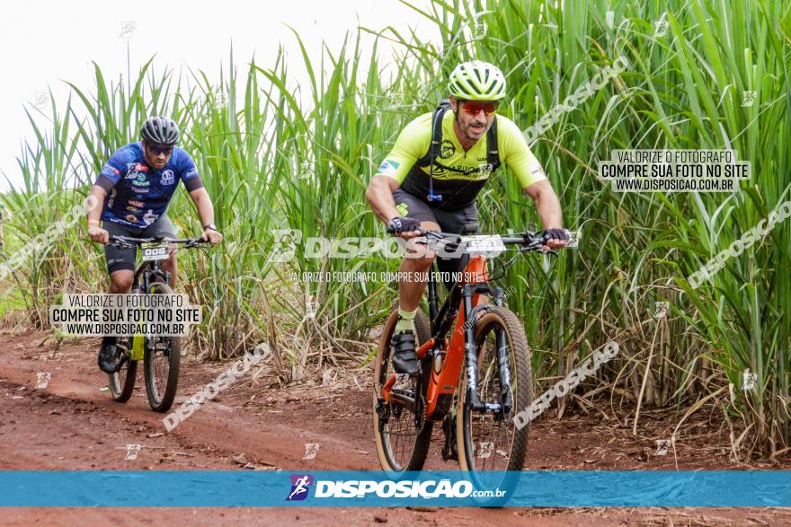 1ª EDIÇÃO DESAFIO ABELHA GRANDE - XCM